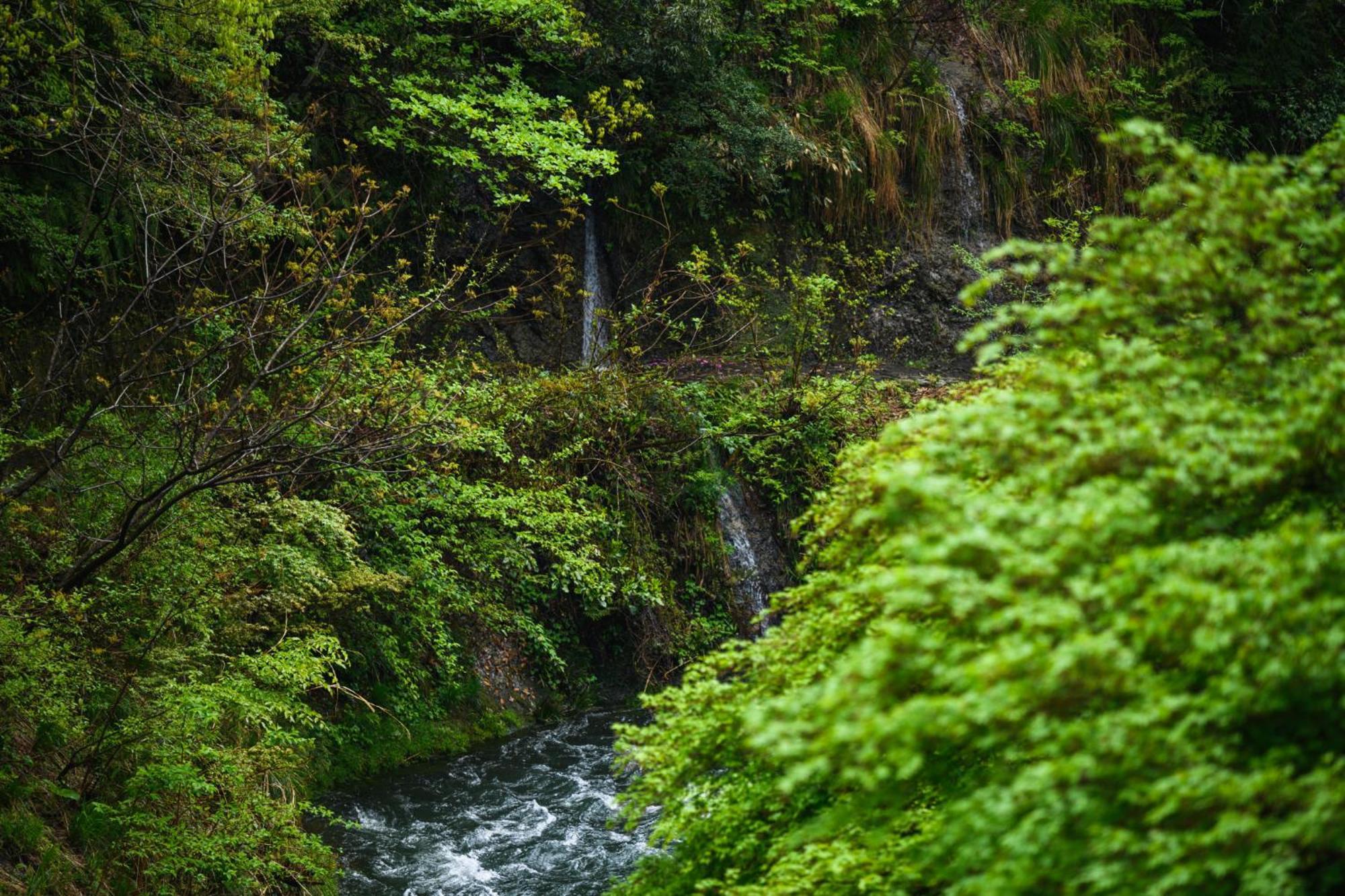 Hotel Shirasagiyu Tawaraya Kaga  Exteriér fotografie