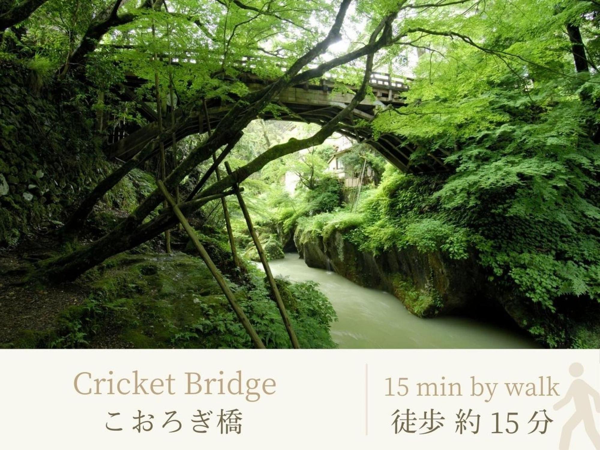 Hotel Shirasagiyu Tawaraya Kaga  Exteriér fotografie