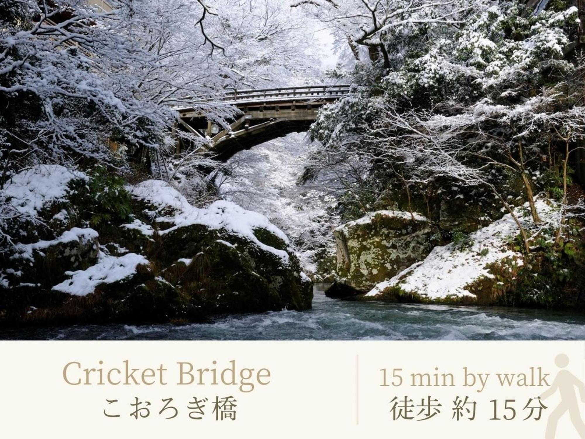 Hotel Shirasagiyu Tawaraya Kaga  Exteriér fotografie