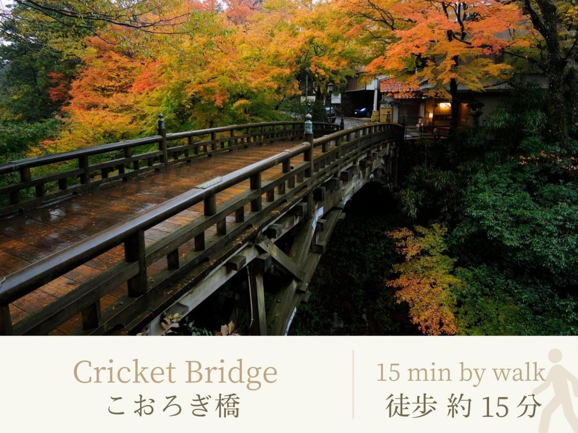 Hotel Shirasagiyu Tawaraya Kaga  Exteriér fotografie