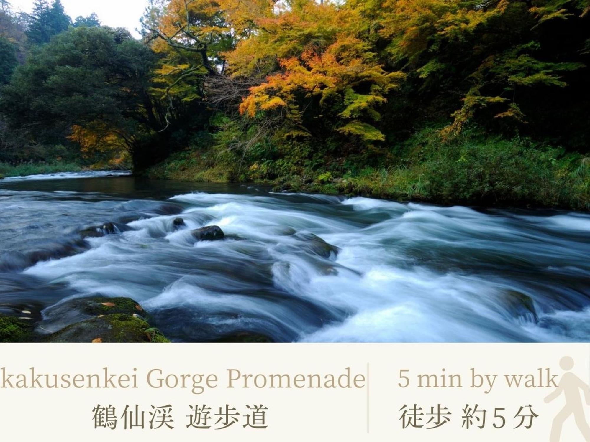 Hotel Shirasagiyu Tawaraya Kaga  Exteriér fotografie